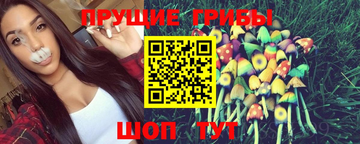 Псилоцибиновые грибы MAGIC MUSHROOMS  Вход с VPN  Галлюциногенные грибы ЛСД  Балашов 